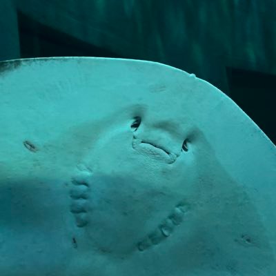 me594981999's profile picture. 