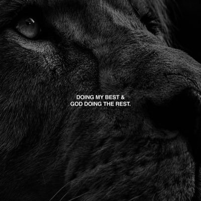 mikkkilegion's profile picture. 