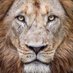 Antonio Williams Sr (@antoniosr1267) Twitter profile photo Antonio Williams Sr (@antoniosr1267) Twitter profile photo