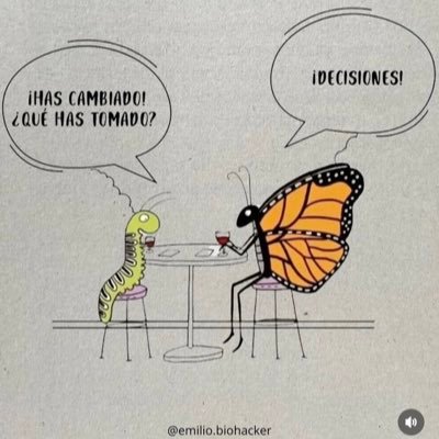 WanderMartnez2's profile picture. Amo la vida