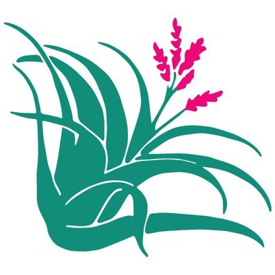 The mission of FNPS is to promote the preservation, conservation, and restoration of the native plants and native plant communities of Florida.