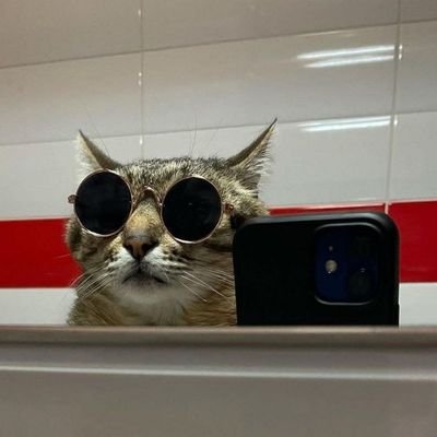 Web3 man is here 🟧Tabi Profile