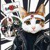 AllSquareCat (@alldeadcat) Twitter profile photo AllSquareCat (@alldeadcat) Twitter profile photo