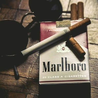 rendra31467's profile picture. 