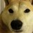 tuyo_sann's profile image