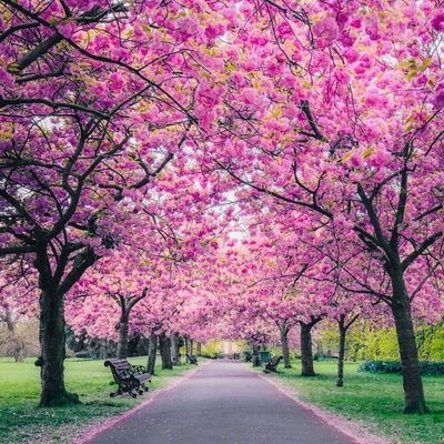 samratete123's profile picture. 