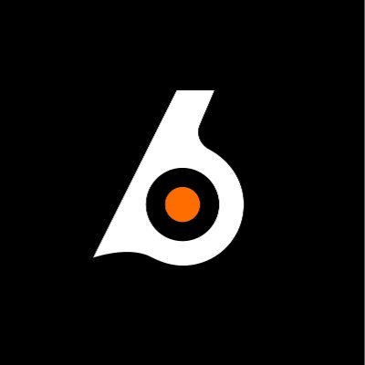 Birdeye image