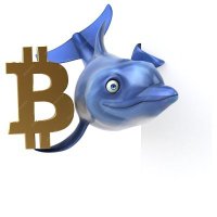 Mikidplay (@mikidplay14489) 's Twitter Profile