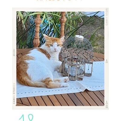 Skayacans's profile picture. 