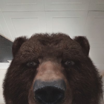 LGS_Papayou's profile picture. 🇫🇷 CM officiel de LGS