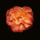 Jayanta Dutta. - @jayantadutta32 - Twitter