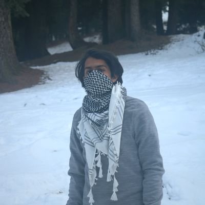 SinadShan's profile picture. I think aloud here