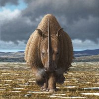 Stromerziels (@stromenarr) 's Twitter Profile