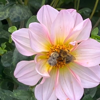 RiversElfi8193's profile picture. 🪐💫✨