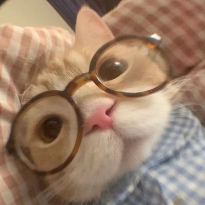 кекмаさんのプロフィール画像