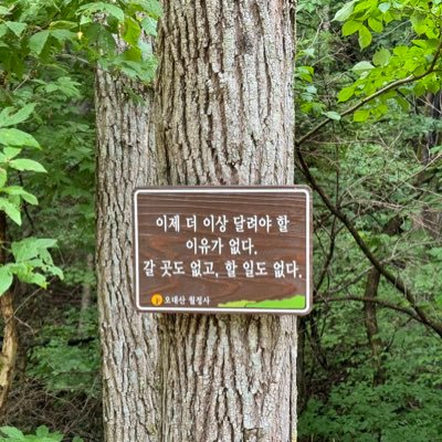 주관적으로 유용해 보이는 것들을 주로 리트윗합니다. 읽기를 게을리하는 스크랩 중독자. 반성과 후회를 반복하지만 외면하지는 않는 삶.