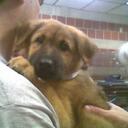 Laura Desiderio - @tweetLaur - Twitter