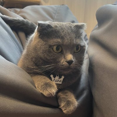 BaluhPavlo63193's profile picture. 