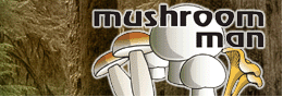 MrMushroomMan Profile Picture