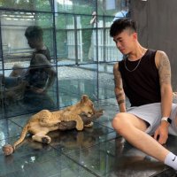 德牧 (@jayter20027788) 's Twitter Profile Photo 德牧 (@jayter20027788) 's Twitter Profile Photo
