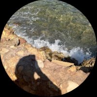🏛️ (@h02br) 's Twitter Profile Photo