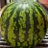 okan_8gou