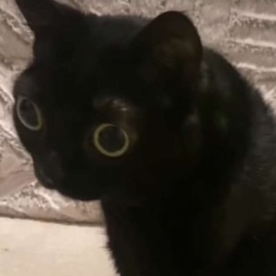 sereniguess's profile picture. 