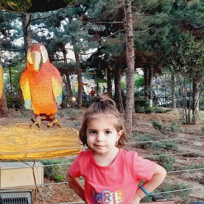 j_najmi_1363's profile picture. مهندس عمران 
شهرساز