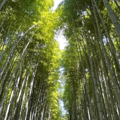 tooy_architect's profile picture. B4/建築/春から京大院