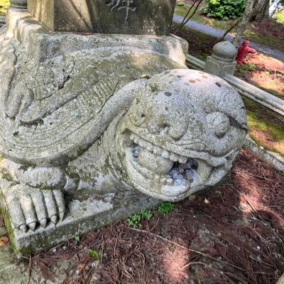 muramura1006's profile picture. 