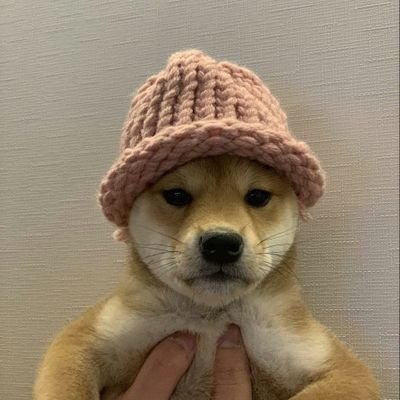 ORIGINAL DOG WIF AND ALSO FIW DAD CA: Bty8Sex6zv4ZeP958xitBkuRntFDaPdgRD7FEUzpump TG: https://t.co/HIcpLGSxm7