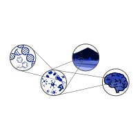 Lab of Interdisciplinary Physics (@liph_lab) 's Twitter Profile Photo Lab of Interdisciplinary Physics (@liph_lab) 's Twitter Profile Photo