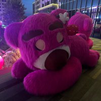 🍉 (@wzzzjdbdi8) 's Twitter Profile