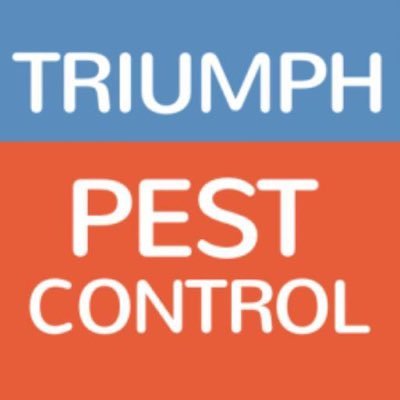 Pest Controller, Local Pest Control, South Wales