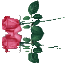 Sara Mazur - @SaraMazur1 - Twitter