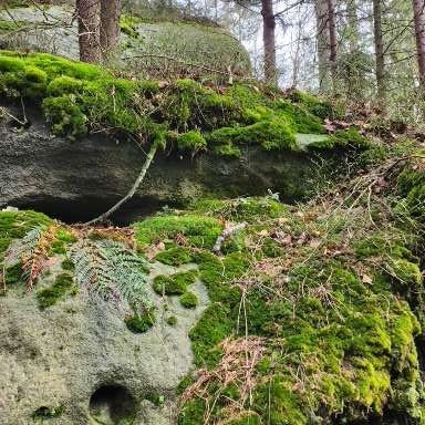 Geolog. Kocham ludzi, góry, klify, naturę , kosmos i design. Dzikość jest piękna. Zdjęcia są moje lub RT.
Zawsze pod wiatr. BEZ DM.