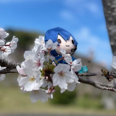 ntmさんのプロフィール画像