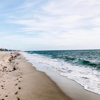 teachingbasics's profile picture. 🌎🌻