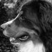 Auke van der heide (@aukeder67860) Twitter profile photo Auke van der heide (@aukeder67860) Twitter profile photo