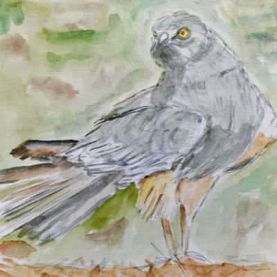 koopnjoop's profile picture. painter of landscapes, models and more. Vegetarian, loves nature in all his settings/animals/singing/people(who are respectful to others)and good music 🎶