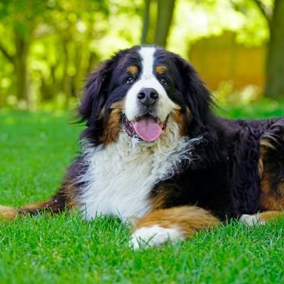 nNtOvwMYTRj5BRJ's profile picture. 趣味探し中 犬より猫派
友人募集中 気軽にどうぞ