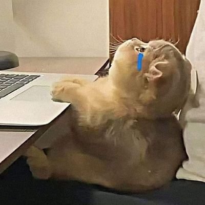 •ʀᴀᴅʜᴇ ♡ ᴋʀɪꜱʜɴᴀ.✨
•Delhi📍
•Libra ♎
•Memes|Tweets| Quotes