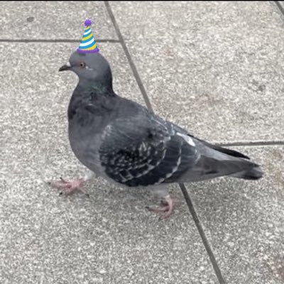 13❕さんのプロフィール画像