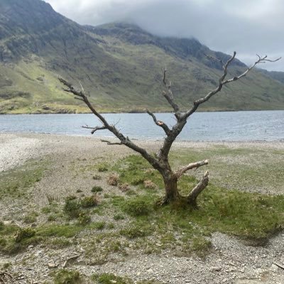 boraghal's profile picture. A little mystery can be a good thing