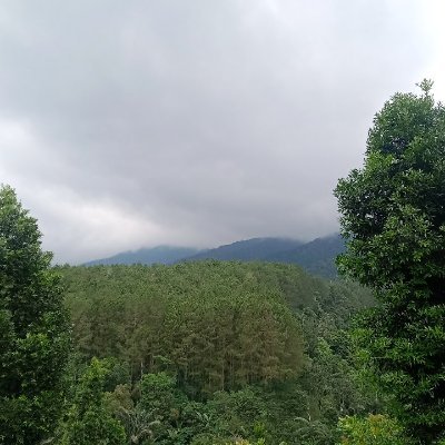 sweeftiezz's profile picture. 