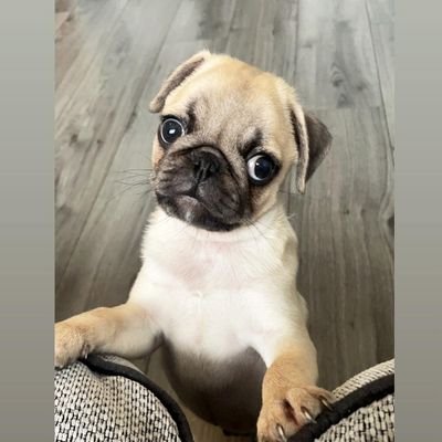 MB7FX's profile picture. Jesus Christ is Lord

Currency & Futures Day Trader 

I Like to post Forex & Futures Trading tips & analysis.

Here's my journey as a trader

John 3:3 KJV ✝️