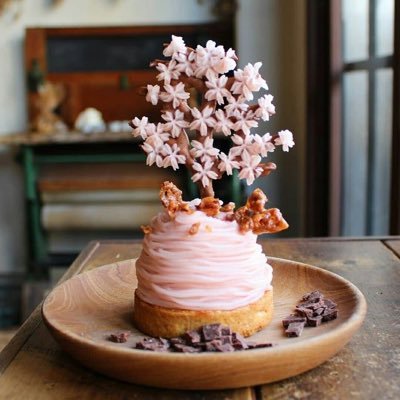 Beauty of Nature 🐝 | Cultures👘 | Landscapes 🏜️ | Foods🍕 | Art 🎨 | Daily life 🌼