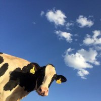 ☯ (@_jaffxz) 's Twitter Profile Photo