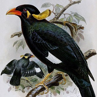 gwarek100's profile picture. 