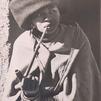 lis_simsima's profile picture. curiousity